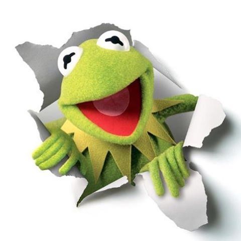 58efda248bd1ff0582e52bdb1a0b418e--kermit-the-frog-the-muppets